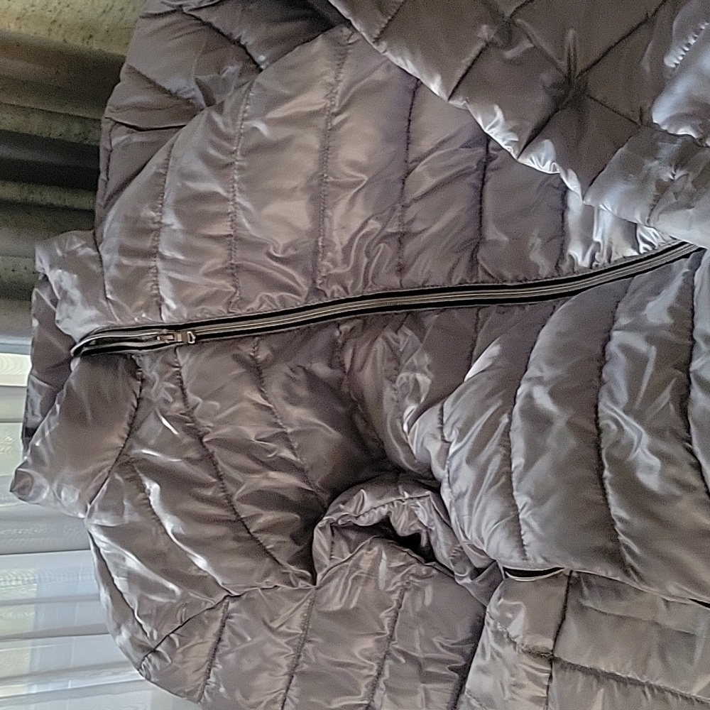 Warm Silver Puffer